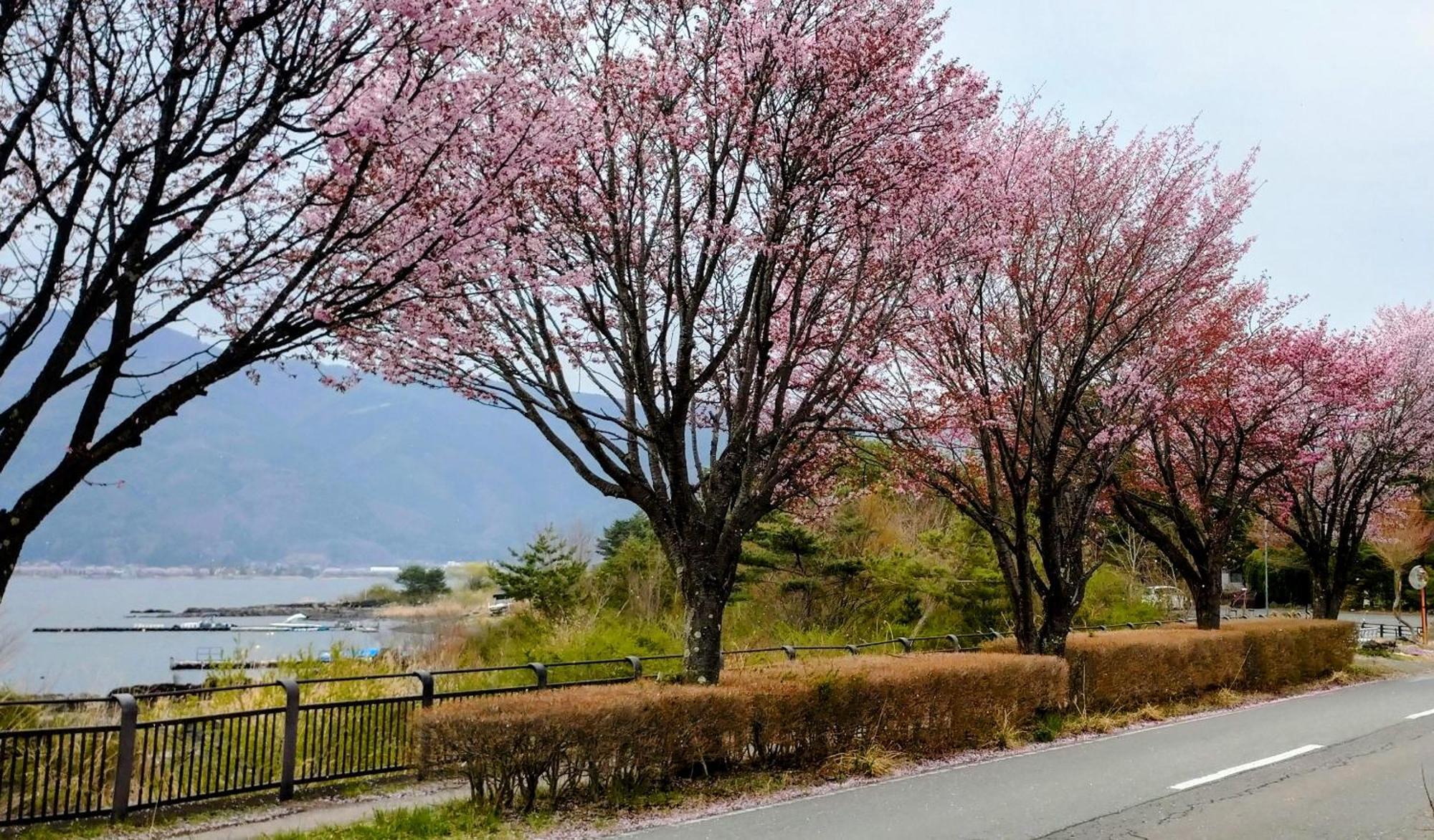 Hotel Nishimiyasou Fudžikawagučiko Exteriér fotografie