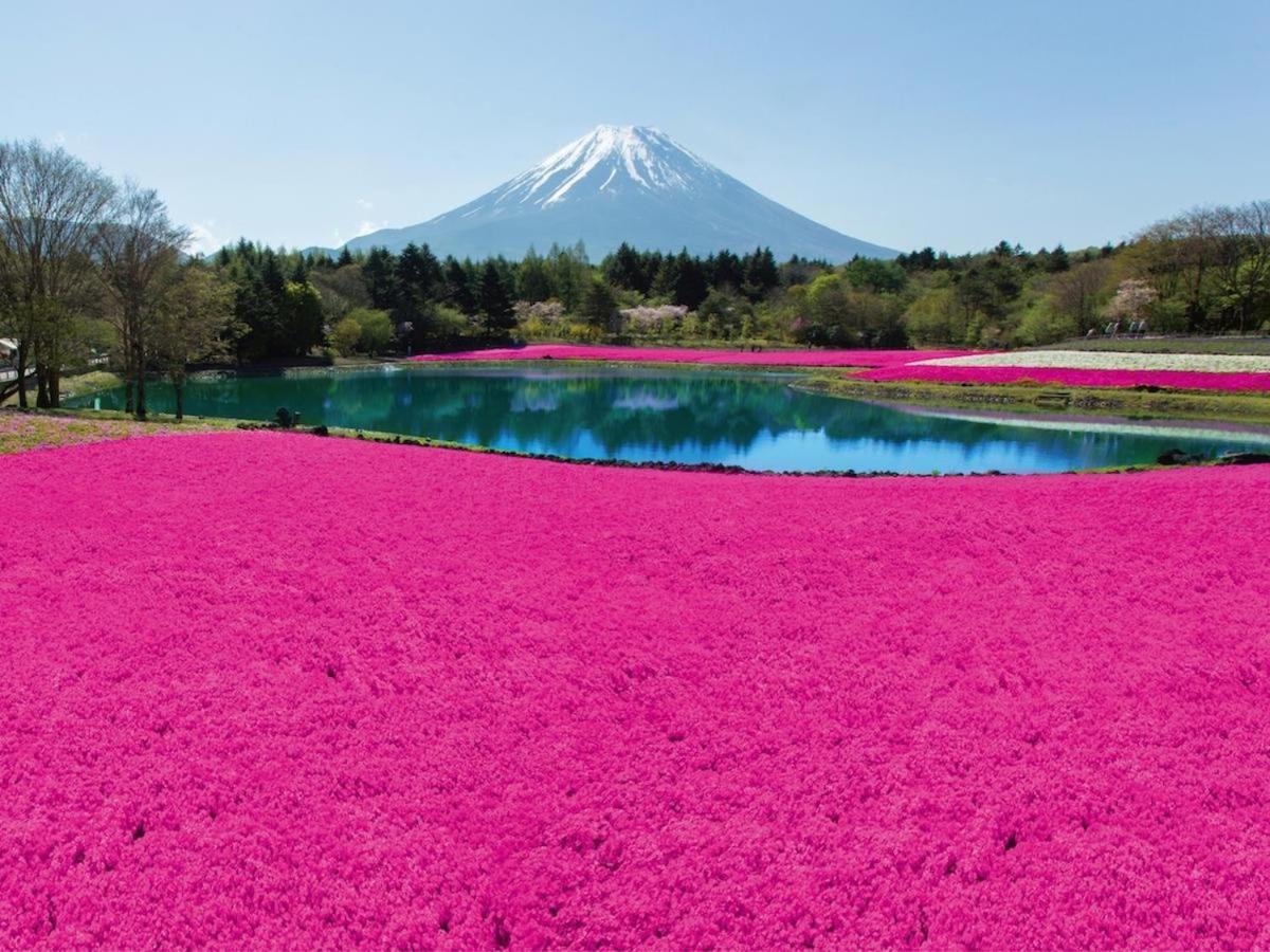 Hotel Nishimiyasou Fudžikawagučiko Exteriér fotografie